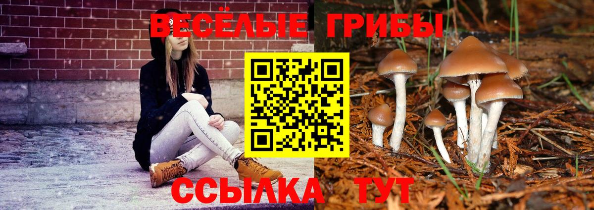 Галлюциногенные грибы мухоморы  Галлюциногенные грибы Cubensis  Вход с VPN  Керчь 